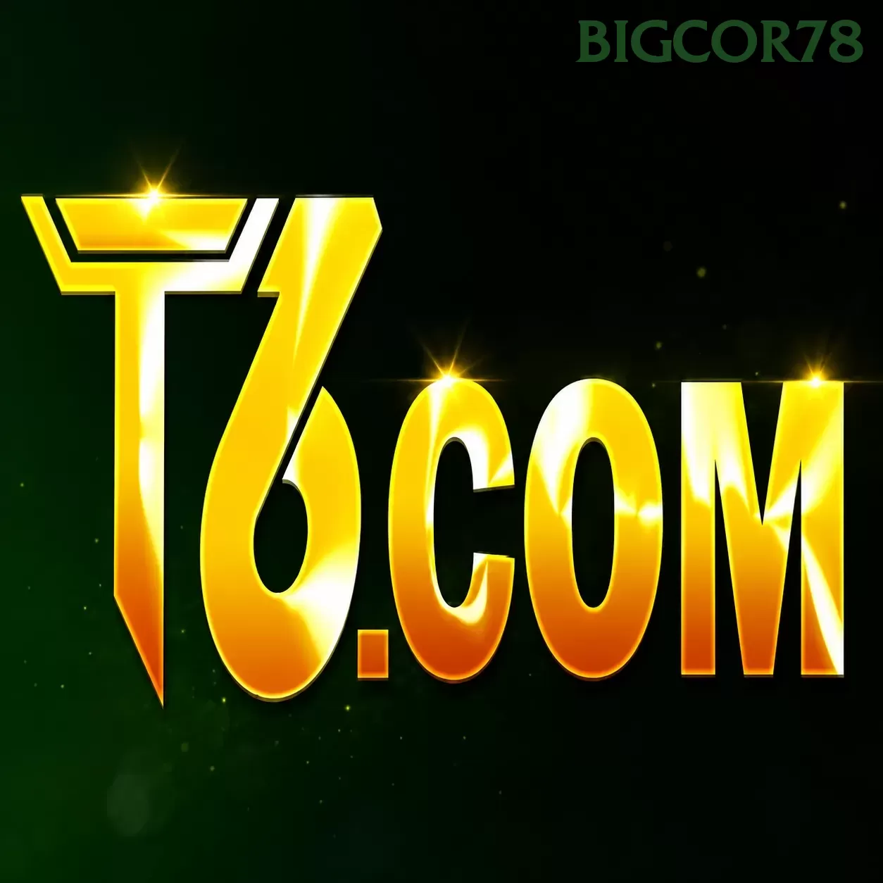 T6 dan bigcor78: Rangkuman Brand yang Banyak Dicari